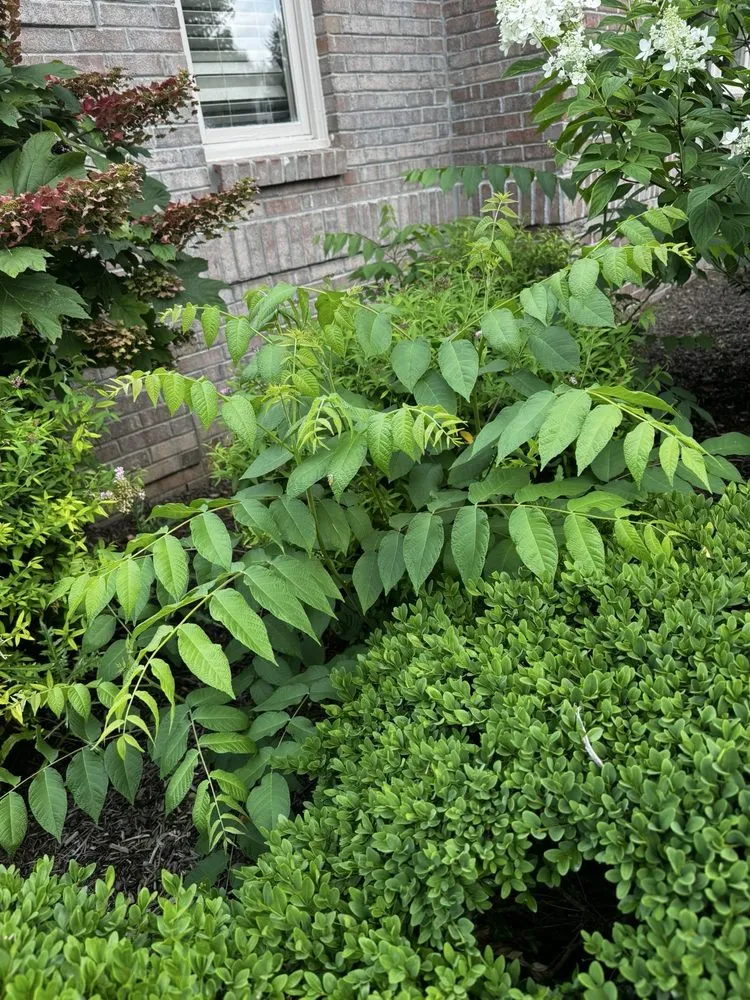 Trusted garden landscaping in Carmel, IN by 5 Star Mowing