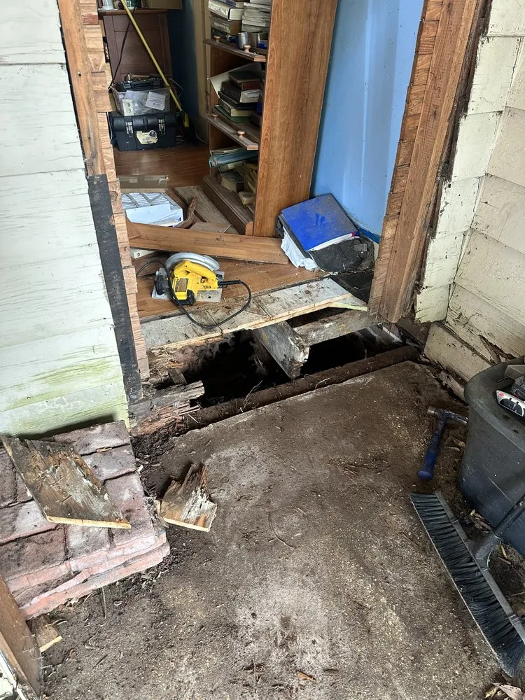 Expert residential landscaping in New Albany, MS by 5 Star Renovations