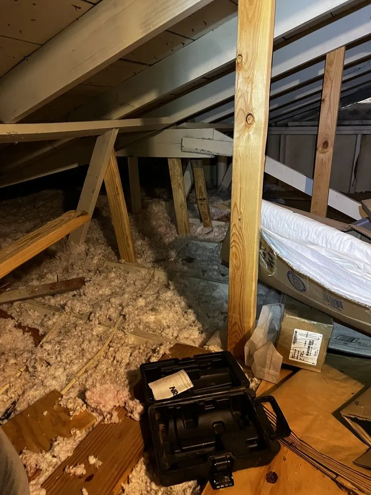 Top-rated lawn mowing service in New Albany, MS - 5 Star Renovations