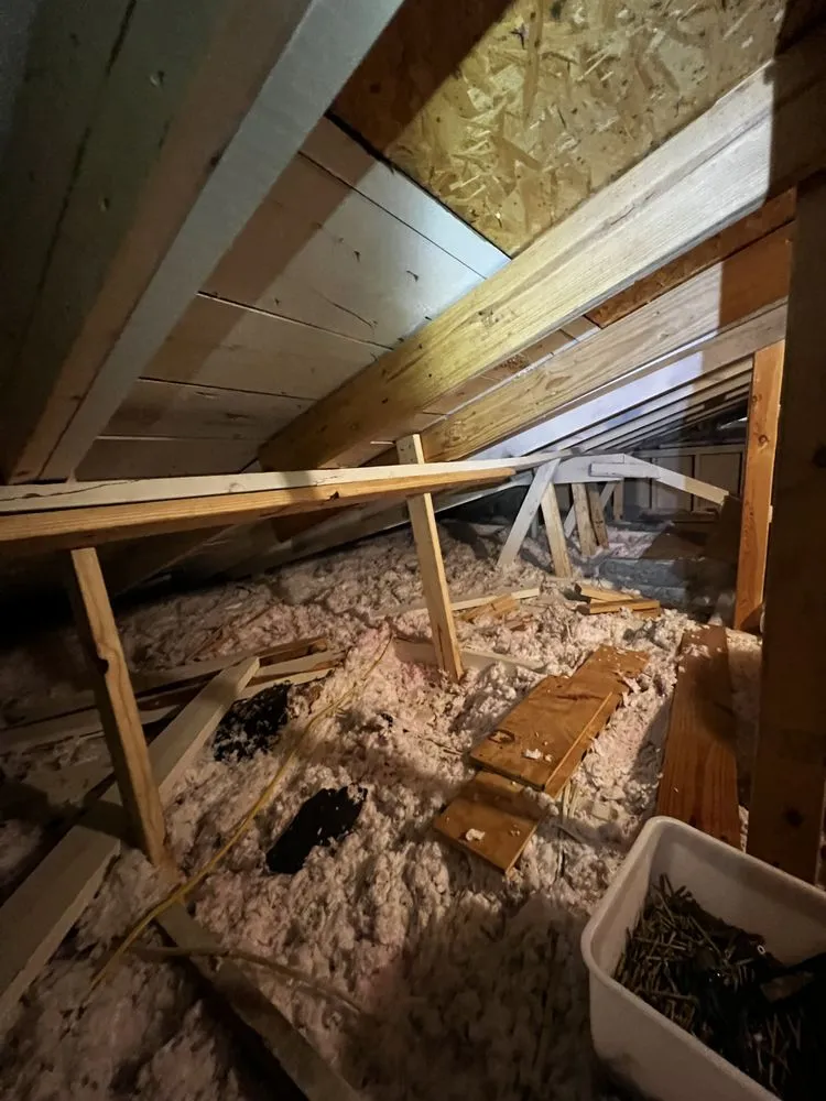 Top-rated yard cleanup service experts serving New Albany, MS - 5 Star Renovations