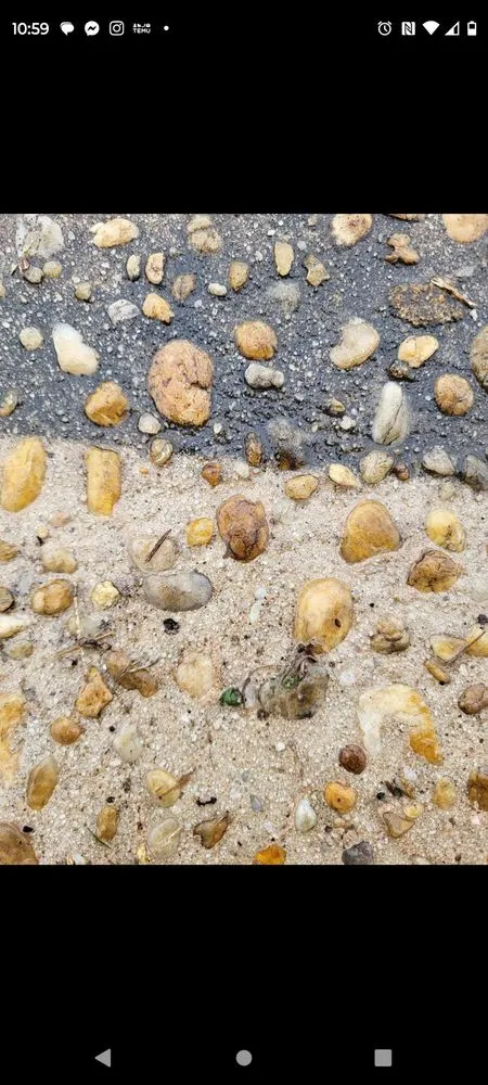 Local landscape installation for outdoor upgrades across Manchester, GA - 5 Star Services