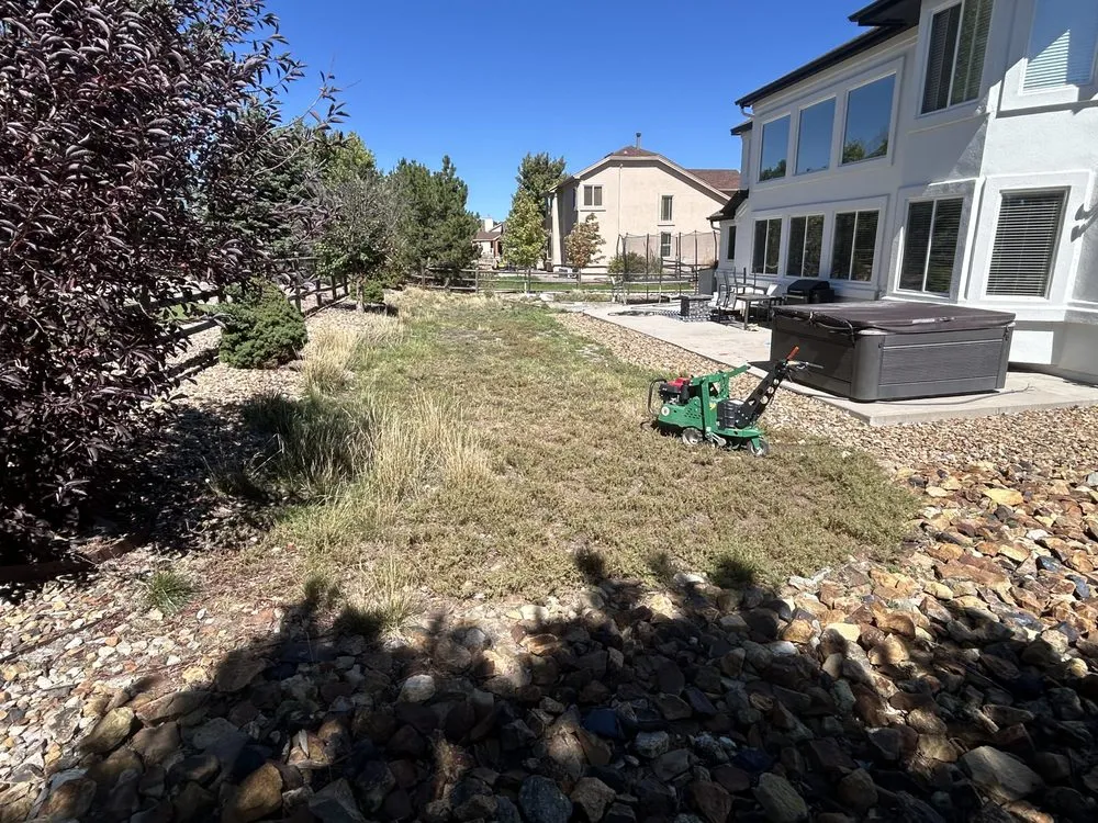 Local yard cleanup service experts serving Colorado Springs, CO - 5 Star Trades