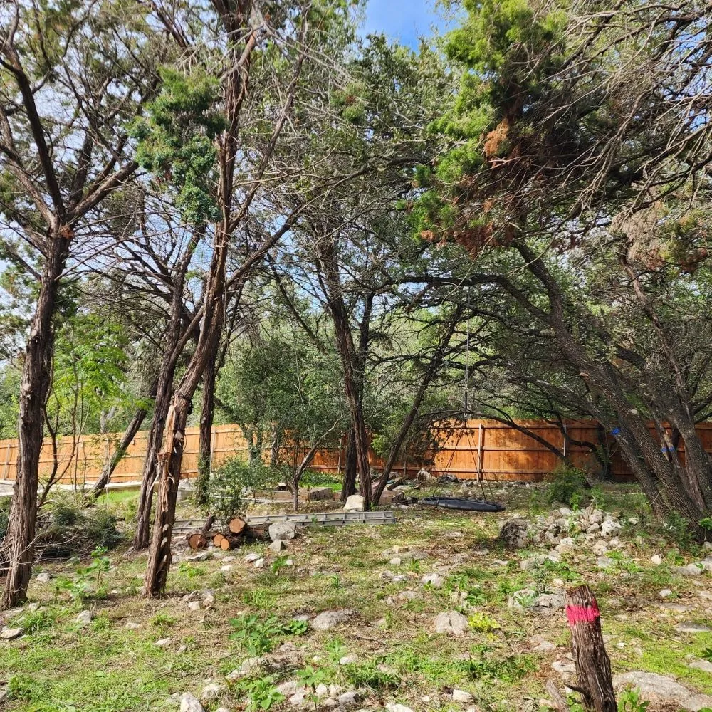 Top-rated yard maintenance experts serving Austin, TX - 5 Stars Landscape