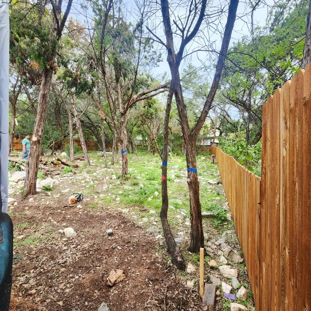 Professional landscape installation experts serving Austin, TX - 5 Stars Landscape