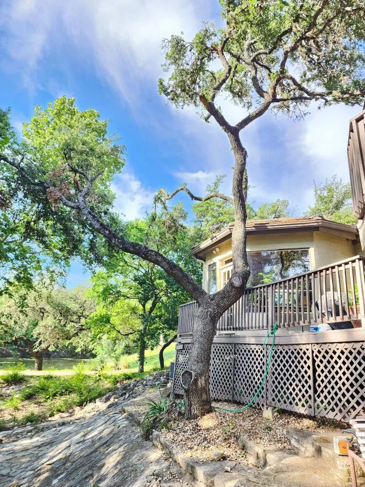 Professional lawn mowing service in Austin, TX - 5 Stars Landscape