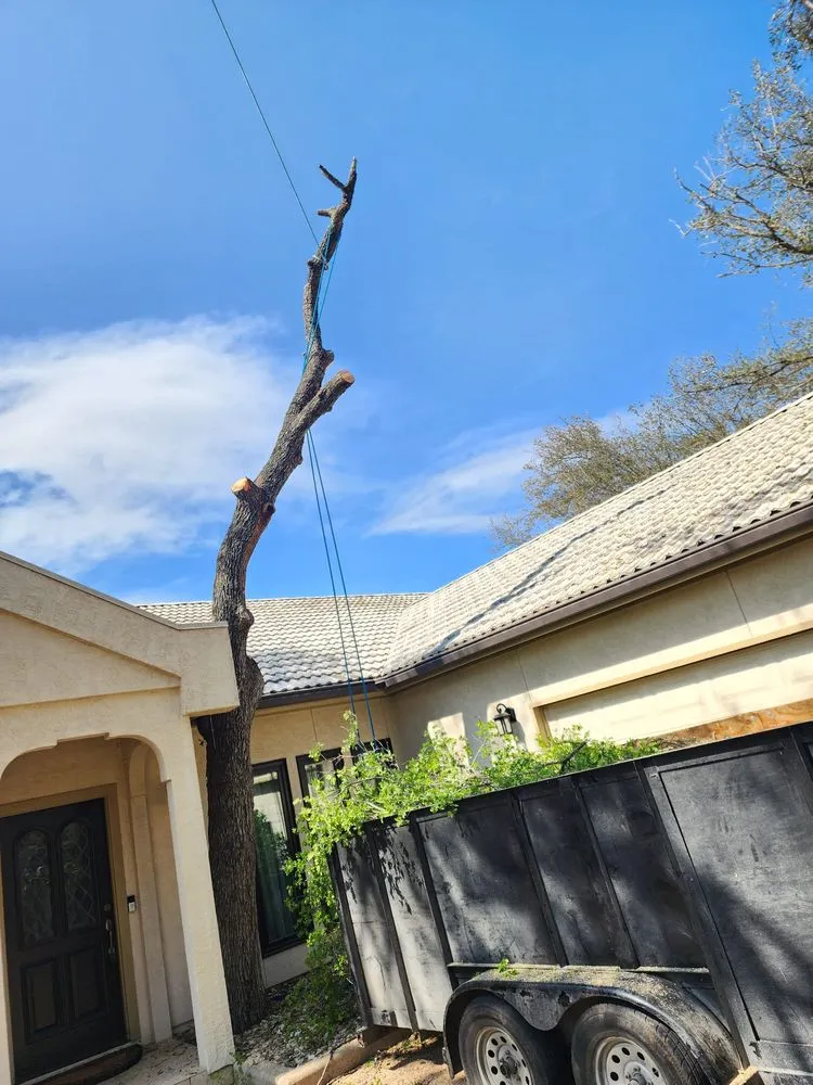 Local landscape installation near you across Austin, TX - 5 Stars Landscape