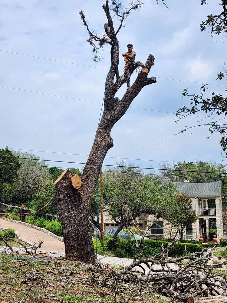 Expert yard maintenance experts serving Austin, TX - 5 Stars Landscape