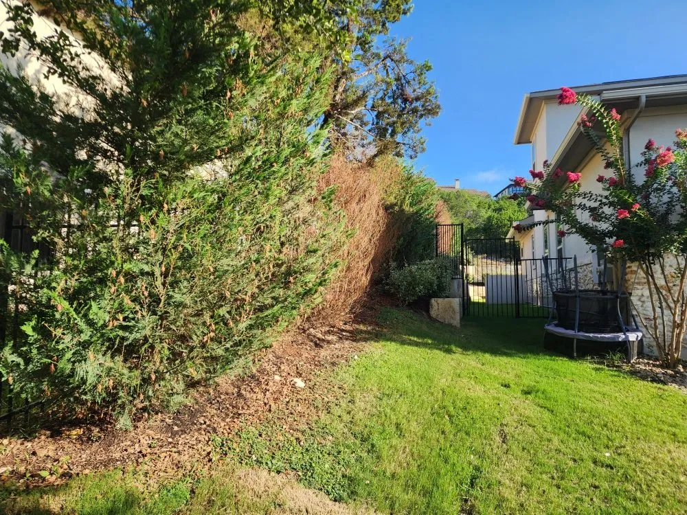 Reliable lawn care service experts serving Austin, TX - 5 Stars Landscape