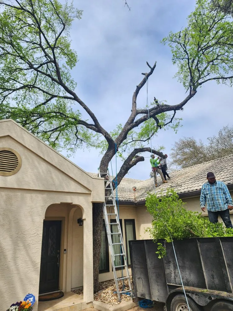 Professional lawn care service experts serving Austin, TX - 5 Stars Landscape