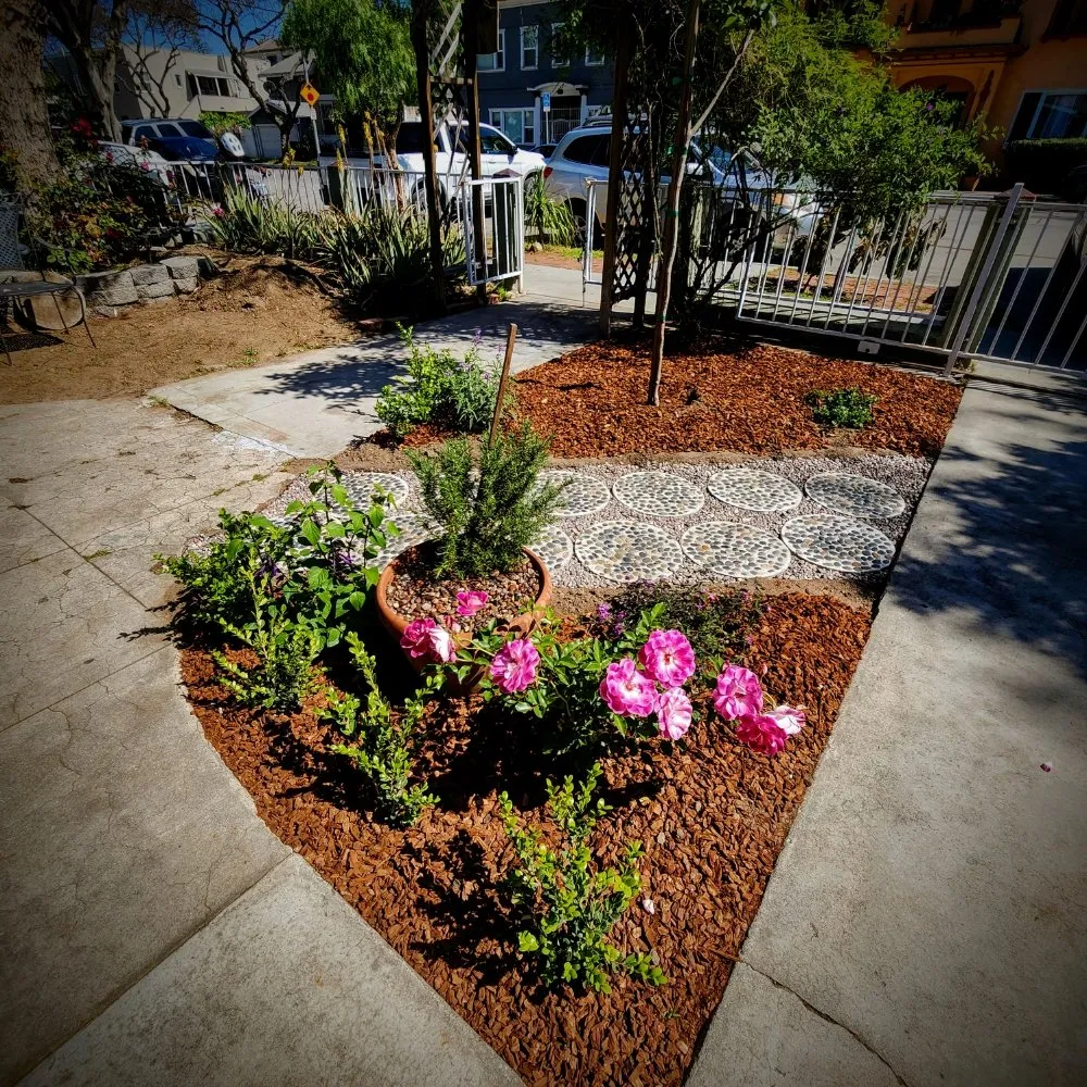 Top-rated garden landscaping for beautiful yards across Long Beach, CA - 5 Stones Landscape Designs