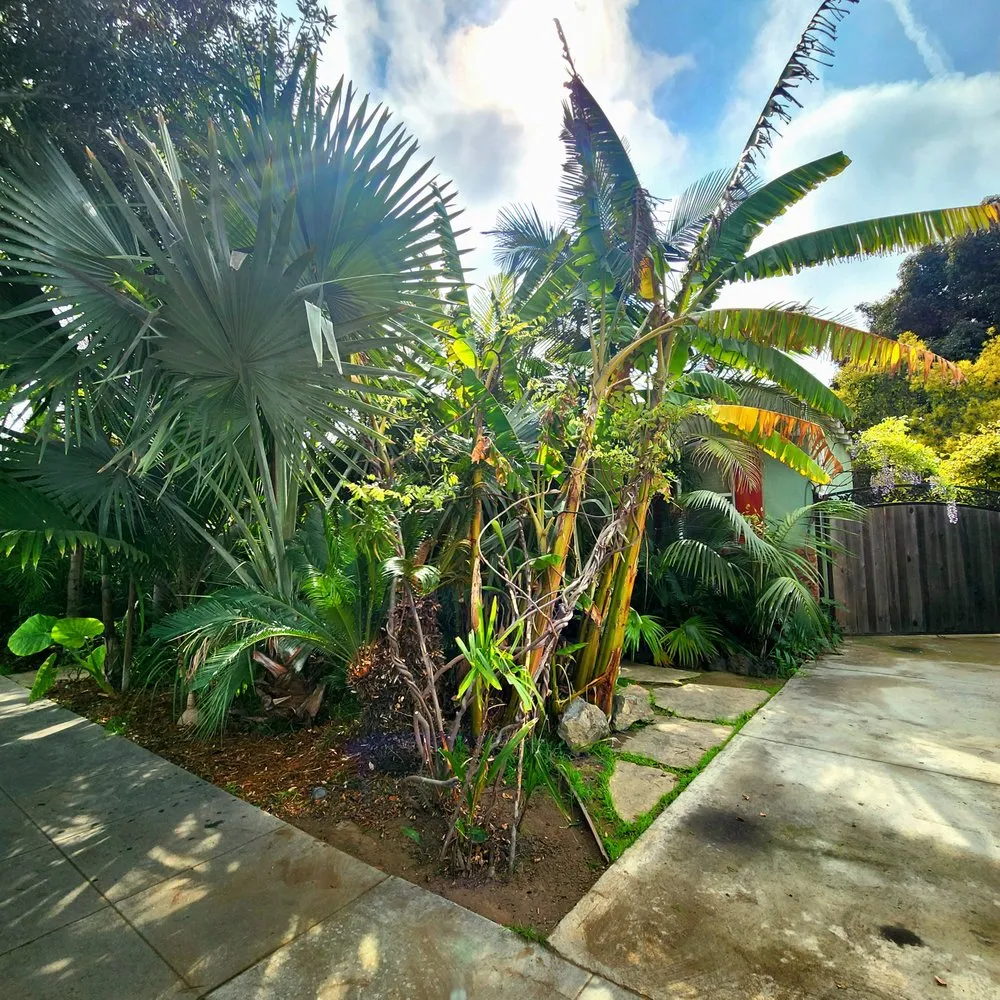 Custom landscape installation for residential properties in Long Beach, CA by 5 Stones Landscape Designs