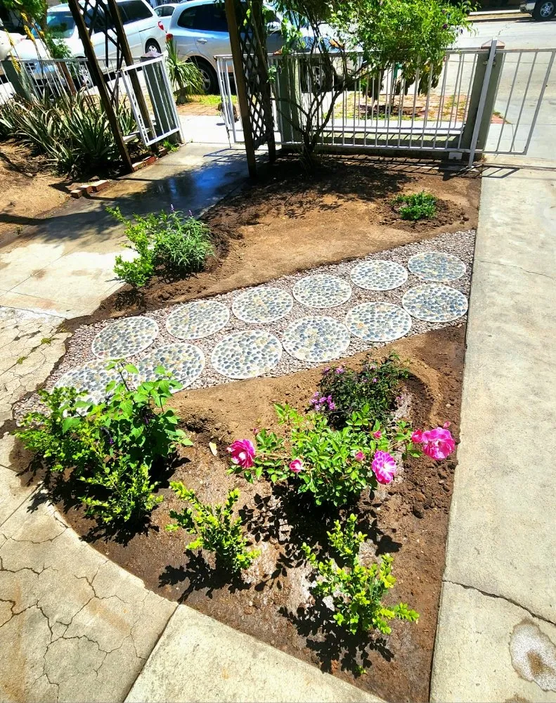 Reliable yard cleanup service in Long Beach, CA - 5 Stones Landscape Designs