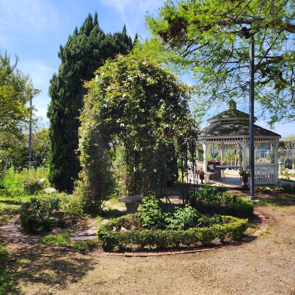 Trusted landscaping services in Long Beach, CA - 5 Stones Landscape Designs