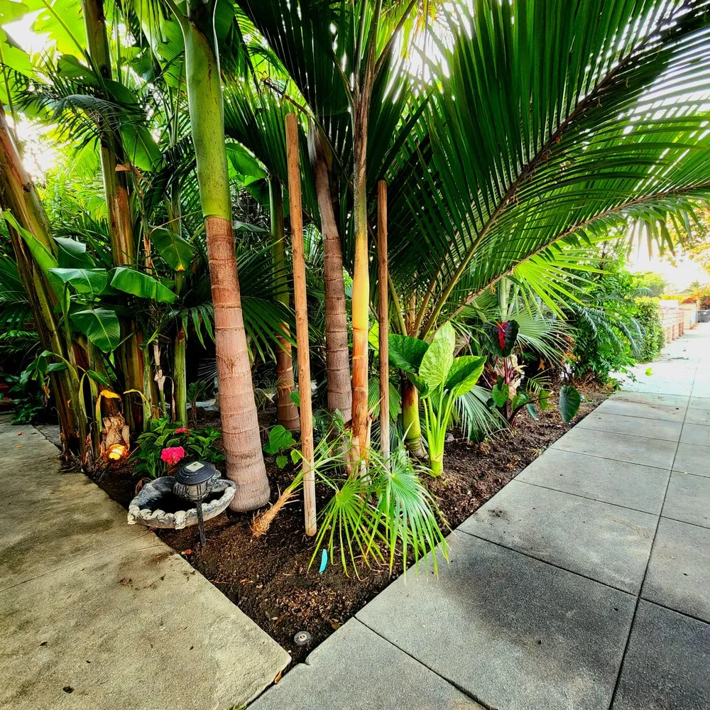 Custom lawn mowing service in Long Beach, CA - 5 Stones Landscape Designs