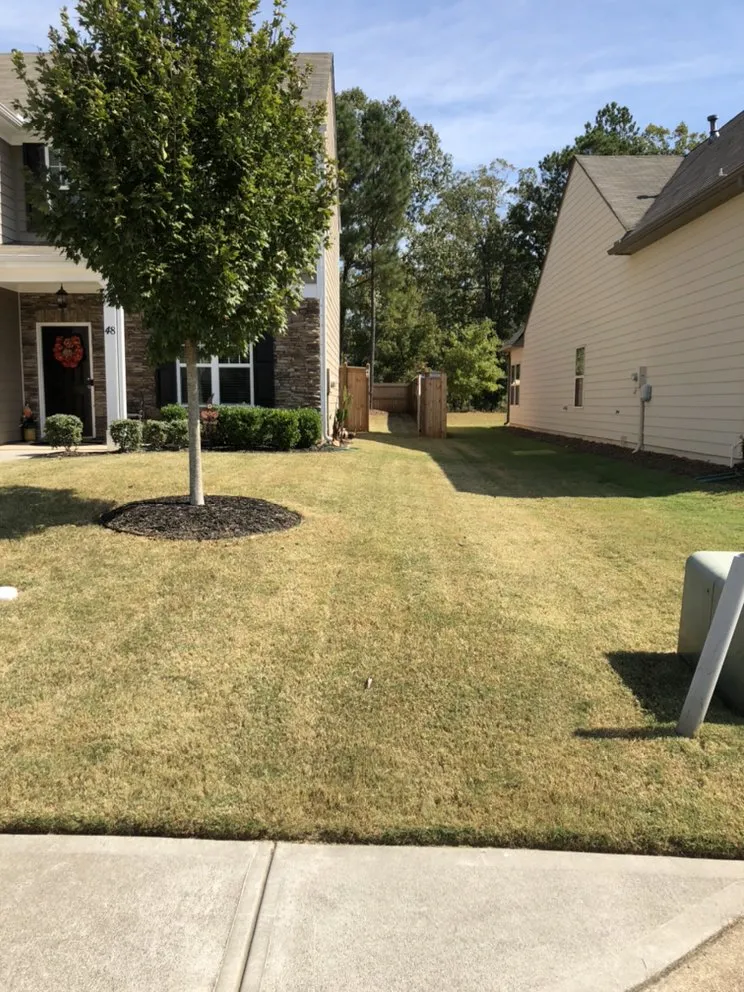 Local residential landscaping experts serving Dallas, GA - 5 W’s And The How