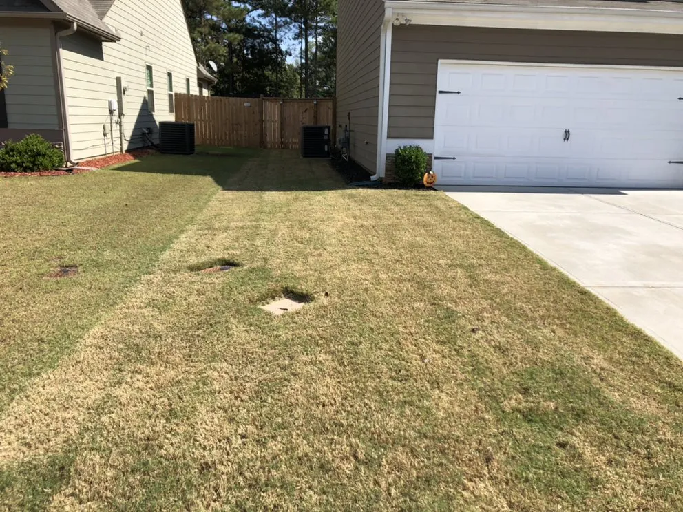 Top-rated garden landscaping in Dallas, GA - 5 W’s And The How