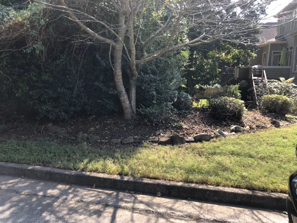 Local yard cleanup service with custom design across Dallas, GA - 5 W’s And The How