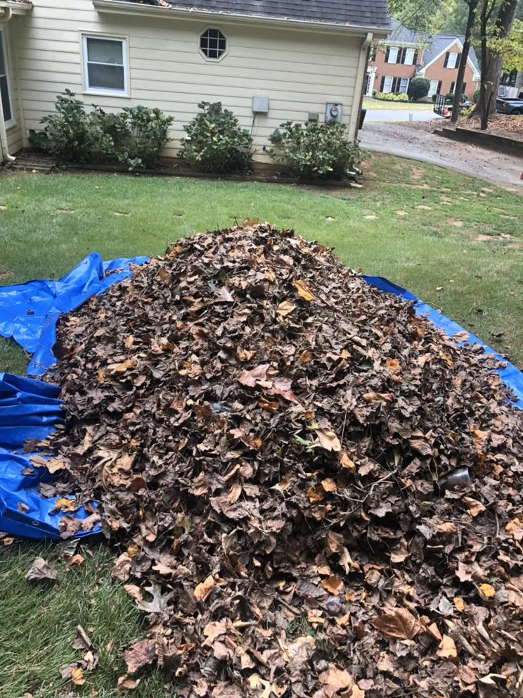 Top-rated landscape installation in Dallas, GA by 5 W’s And The How