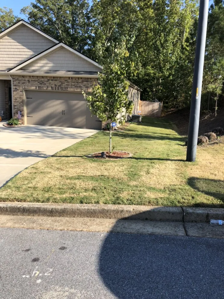 Top-rated yard maintenance for beautiful yards across Dallas, GA - 5 W’s And The How