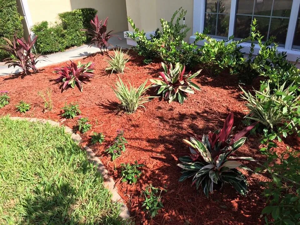 Professional residential landscaping experts serving Jacksonville, FL - 50 Shades of Green