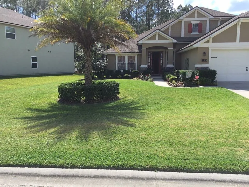 Custom yard maintenance for year-round maintenance across Jacksonville, FL - 50 Shades of Green