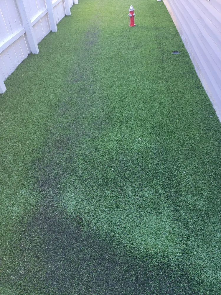Trusted yard cleanup service experts serving Willow Spring, NC - 50 Shades of Green NC
