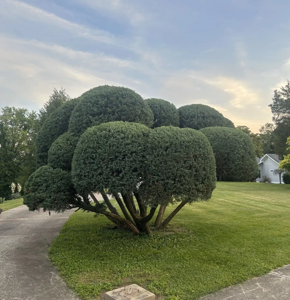 Affordable outdoor landscaping for year-round maintenance across Louisville, KY - 502 Lawn-Care & Landscaping