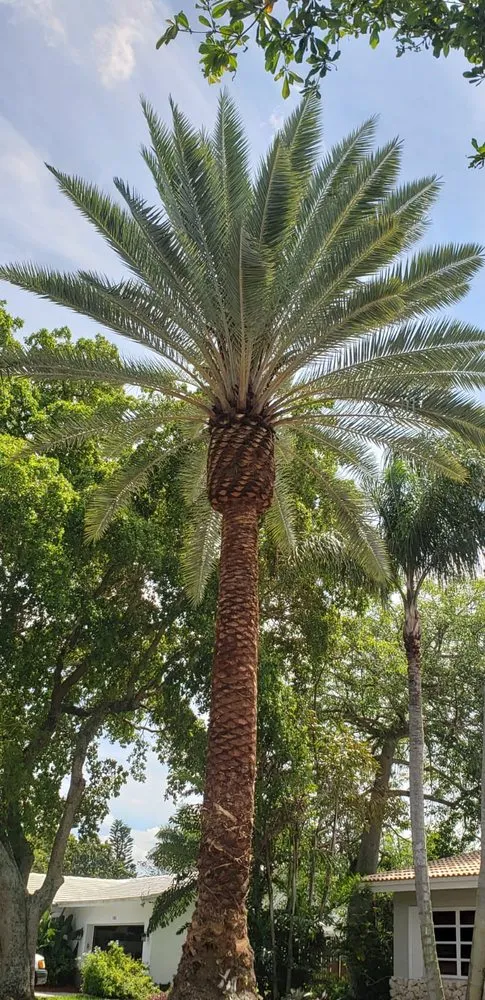 Trusted landscape installation in Oakland Park, FL - 502 Services