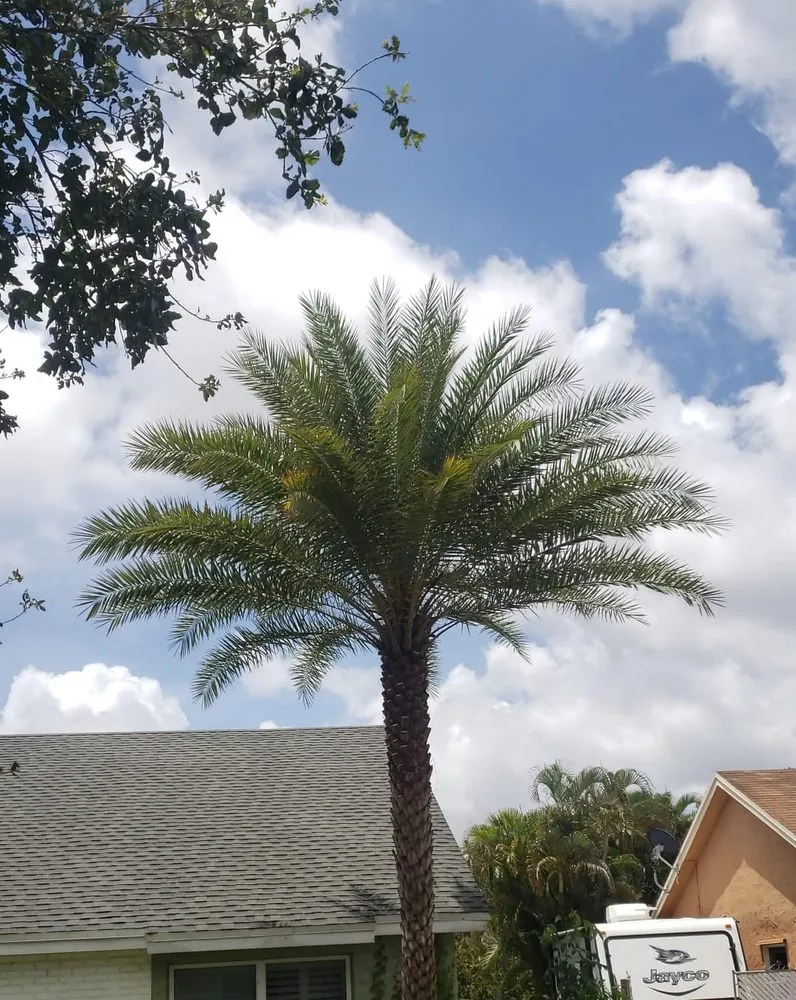 Expert lawn care service for homes across Oakland Park, FL - 502 Services