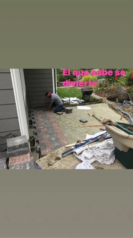 Reliable residential landscaping experts serving Bellevue, WA - 503 Landscape