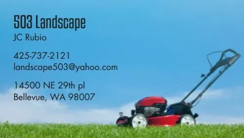 Local residential landscaping in Bellevue, WA - 503 Landscape