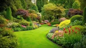 Professional garden landscaping in Bellevue, WA by 503 Landscape