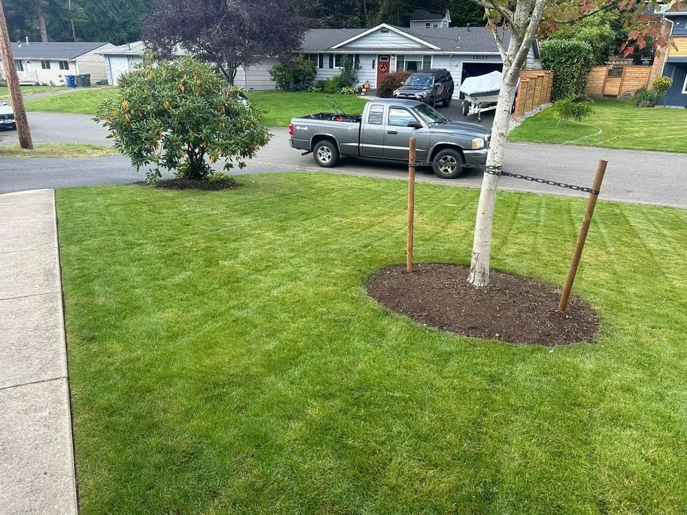 Expert yard maintenance for beautiful yards in Bellevue, WA by 503 Landscape