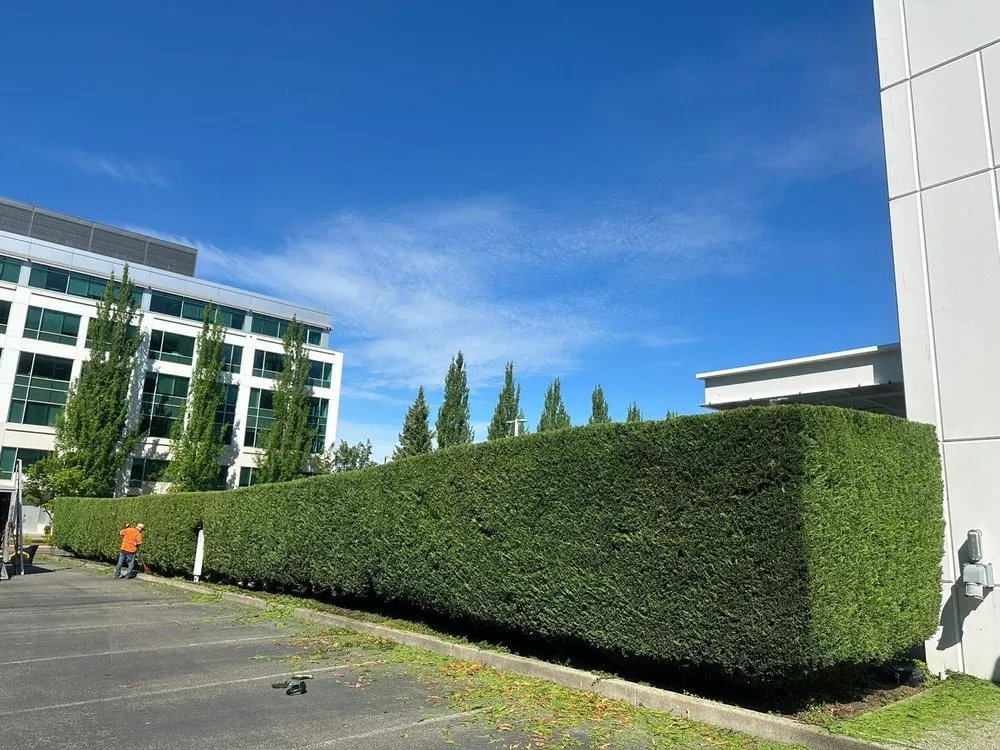 Top-rated landscape design experts serving Bellevue, WA - 503 Landscape