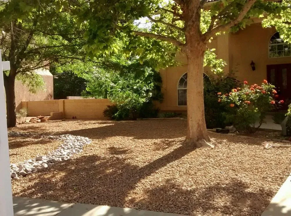 Custom yard maintenance for beautiful yards in Rio Rancho, NM by 505 Landscaping and Property Maintenance