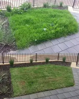 Custom garden landscaping for year-round maintenance across Los Lunas, NM - 505 Lawncare and Landscaping