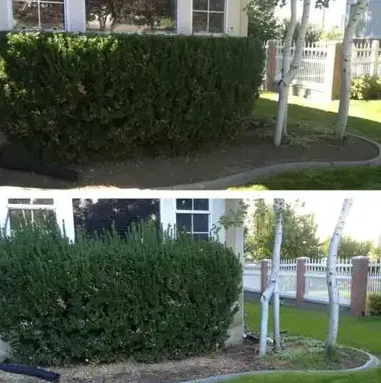 Custom lawn care service in Los Lunas, NM - 505 Lawncare and Landscaping