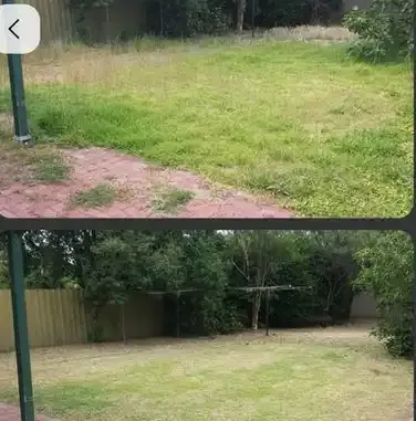 505 Lawncare and Landscaping Logo