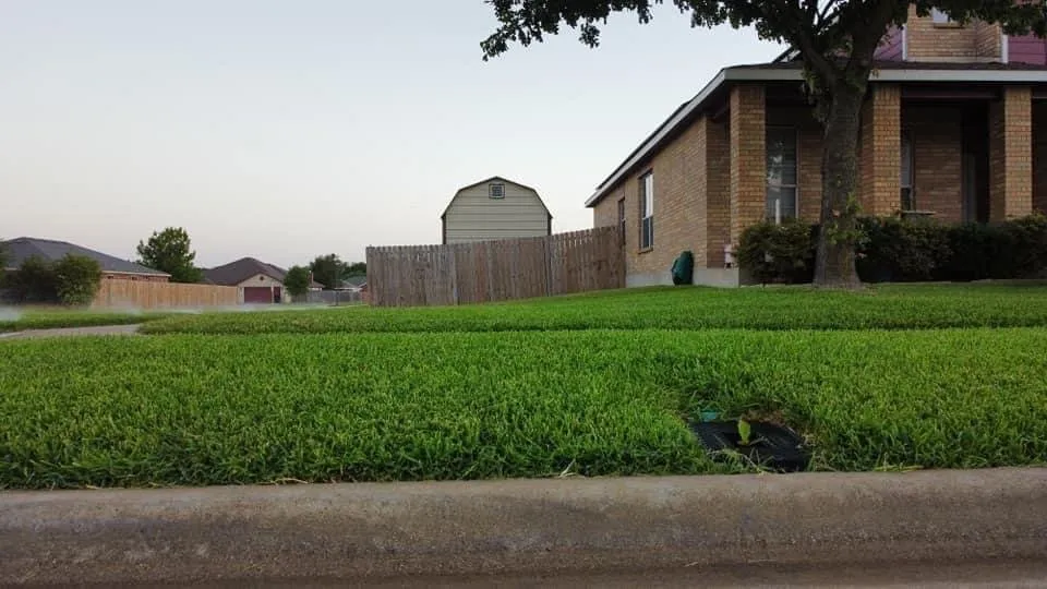 Custom landscape installation in Killeen, TX by 508 Lawn Care