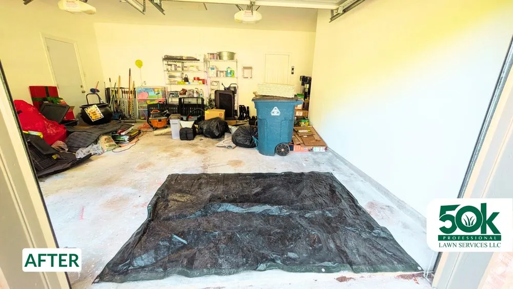 Expert landscaping services in Austin, TX by 50K Professional Lawn Services