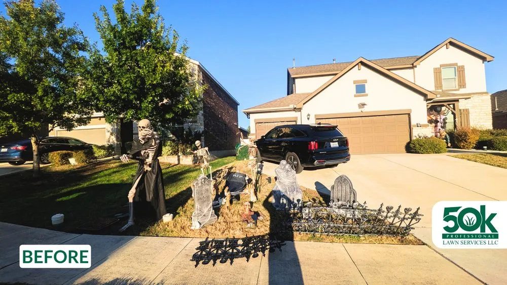 Professional garden landscaping in Austin, TX - 50K Professional Lawn Services