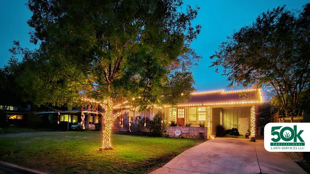 Custom yard cleanup service experts serving Austin, TX - 50K Professional Lawn Services