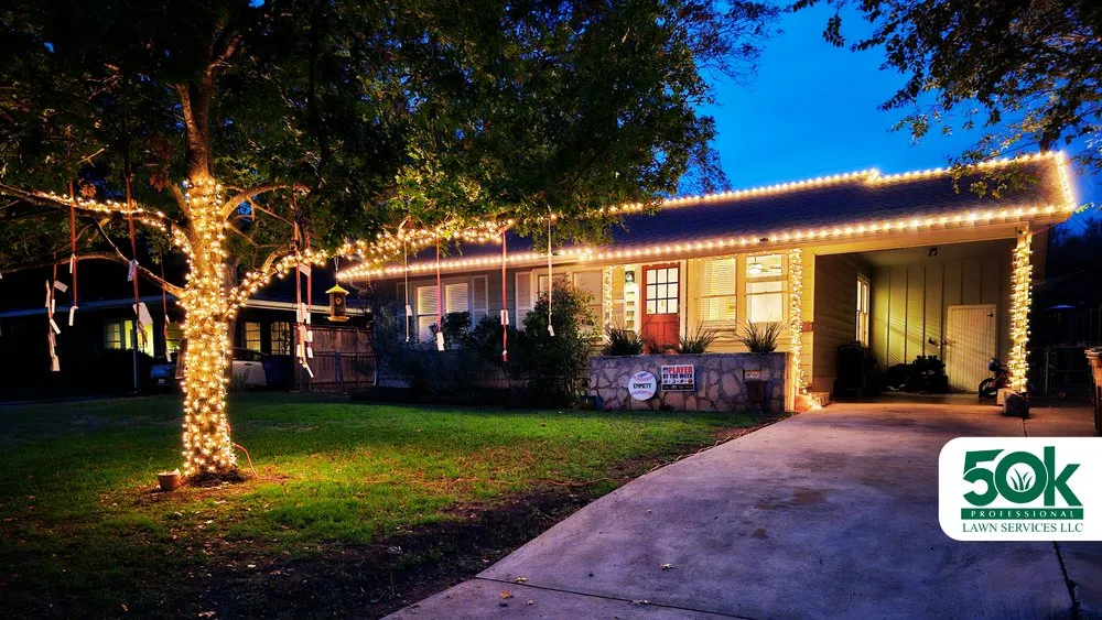 Reliable landscaping services in Austin, TX - 50K Professional Lawn Services