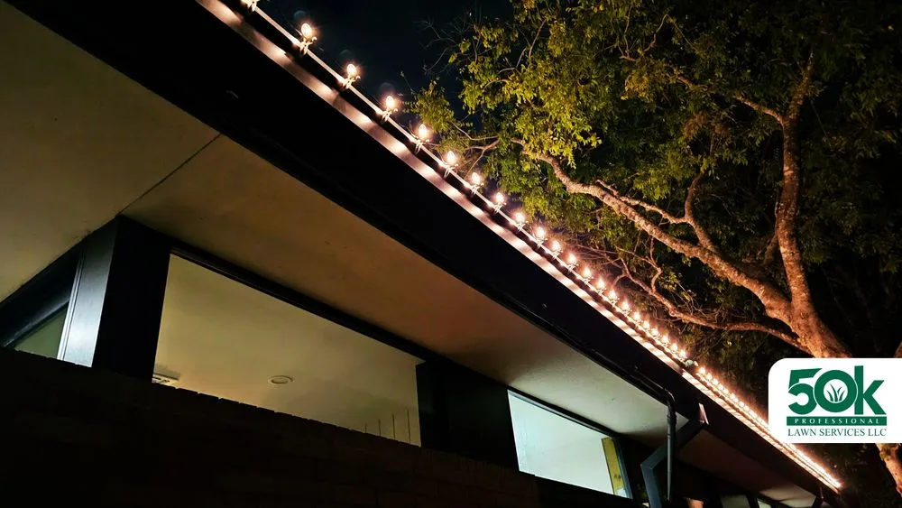 Professional landscaping services experts serving Austin, TX - 50K Professional Lawn Services