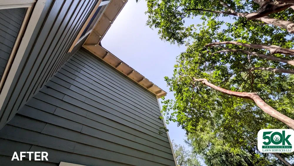 Trusted lawn care service in Austin, TX by 50K Professional Lawn Services