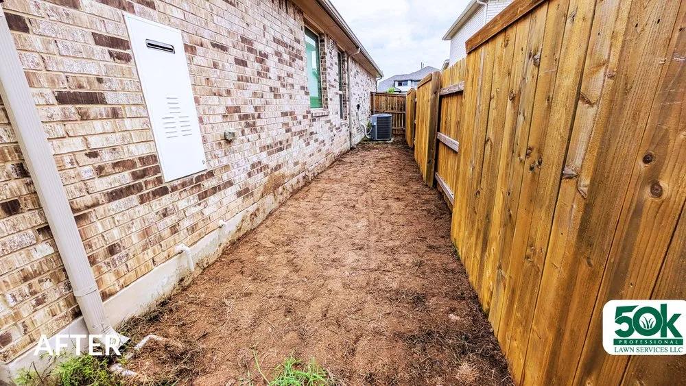 Reliable yard cleanup service in Austin, TX - 50K Professional Lawn Services