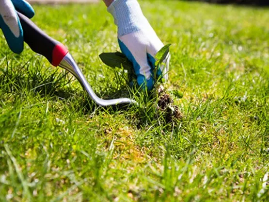 Trusted residential landscaping experts serving Austin, TX - 512 Landscaping