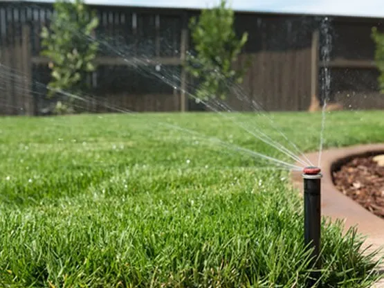 Trusted residential landscaping in Austin, TX - 512 Landscaping