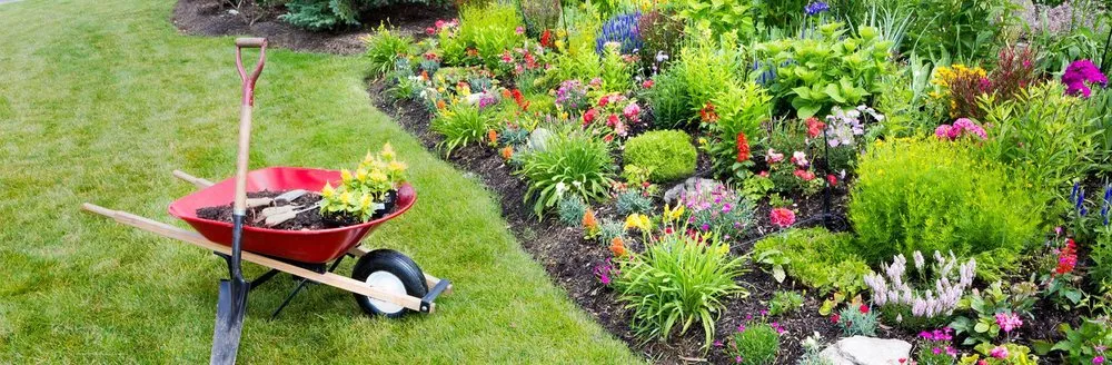 Local landscape installation for homes across Austin, TX - 512 Landscaping