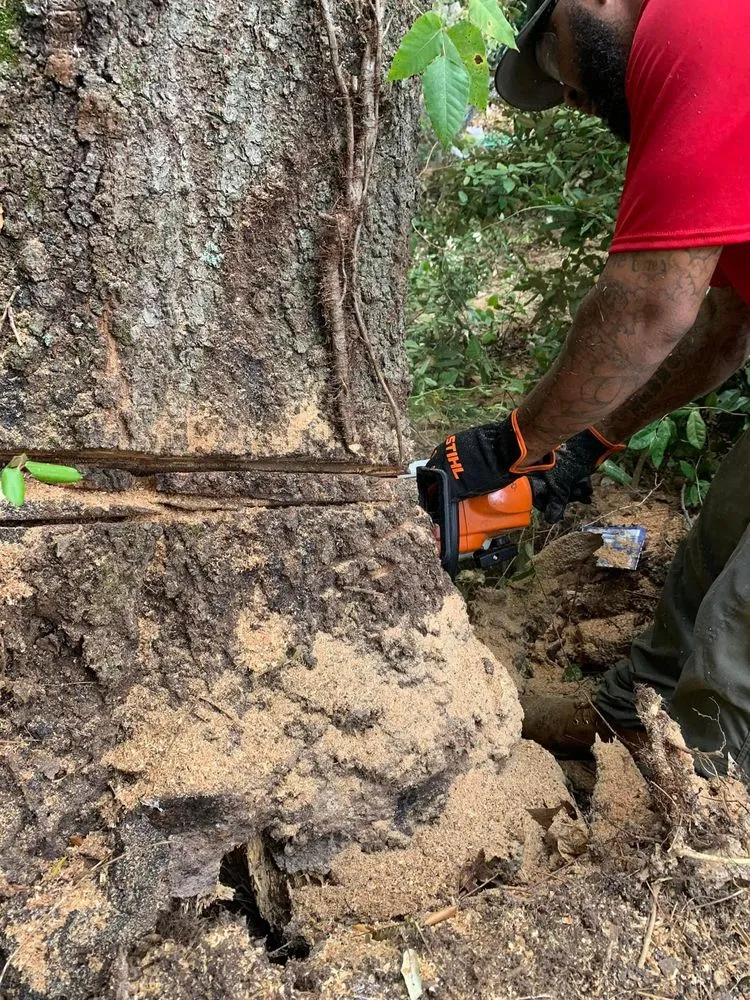 Local landscaping services in Birmingham, AL - 5150 Landscape & Tree Services